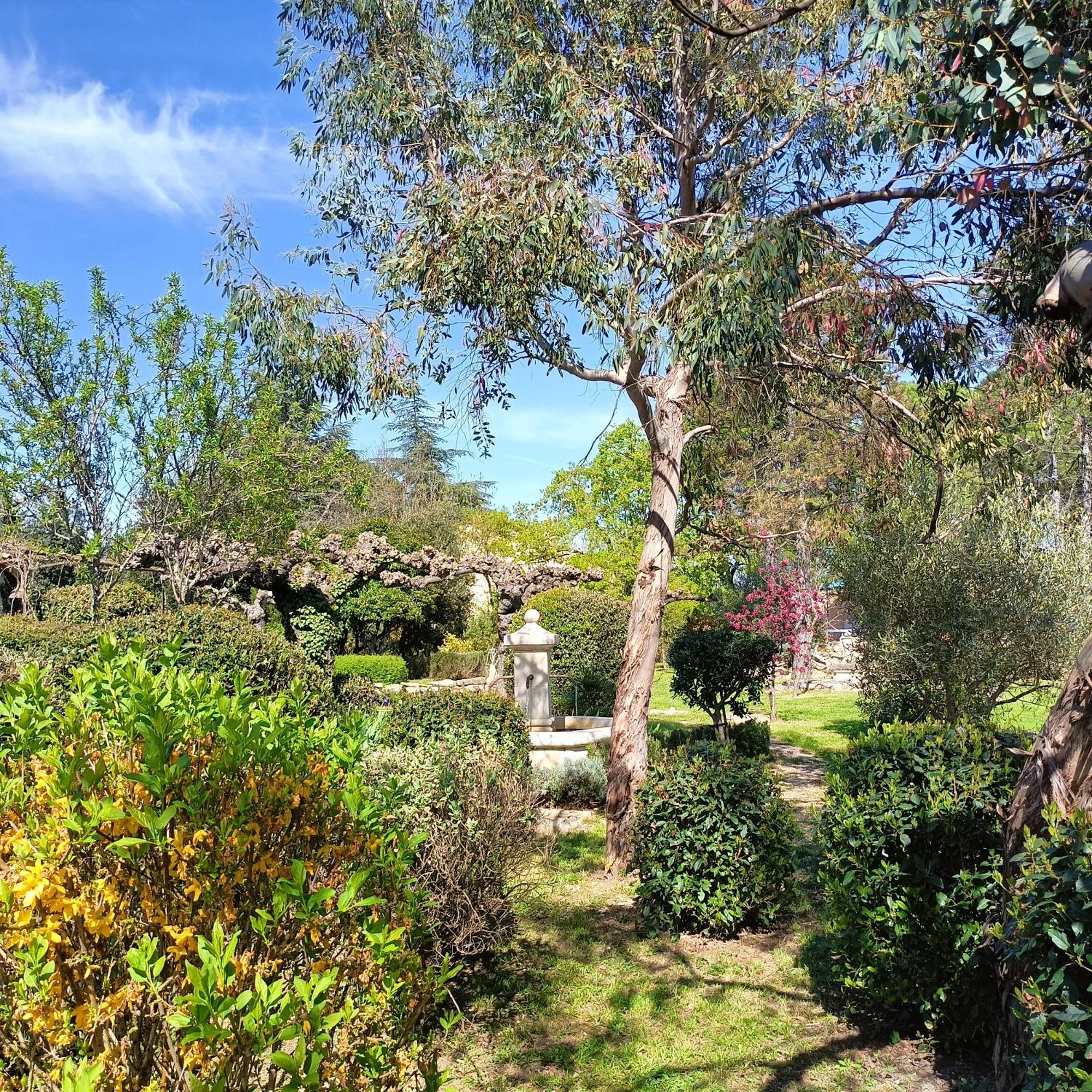 L'Arbre Du Magnan Villa Chandolas Dış mekan fotoğraf